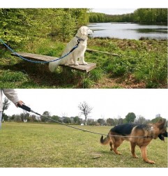 Heavy Duty Rope Dog Leash