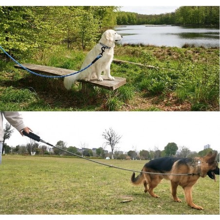 Heavy Duty Rope Dog Leash