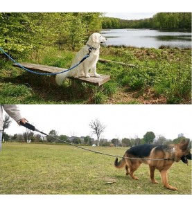 Heavy Duty Rope Dog Leash