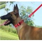 4FT Service Dog Leash， Wide Nylon Dog Leash with Comfortable Neoprene Handle