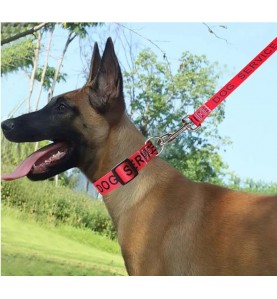 4FT Service Dog Leash， Wide Nylon Dog Leash with Comfortable Neoprene Handle