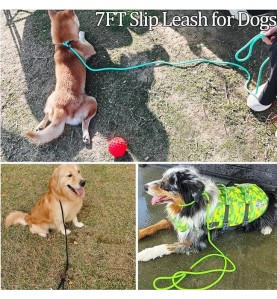 Slip Lead Control Leash for Dogs No Pull，1/4” Rope Leashes for Small Medium Animals Purple