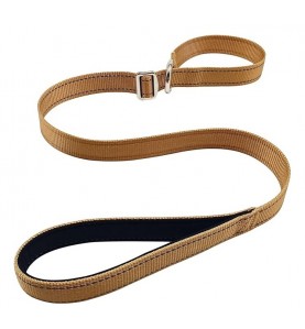 Slip Lead Dog Training Leash (3 FT x 1 in, Brown)