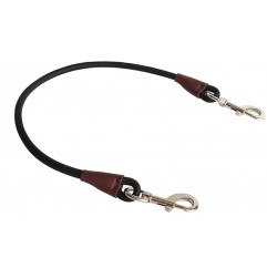 Training Tie Down- Short Dog Tether Indoor- Strong Rope Dog Car Leash Seat Belt