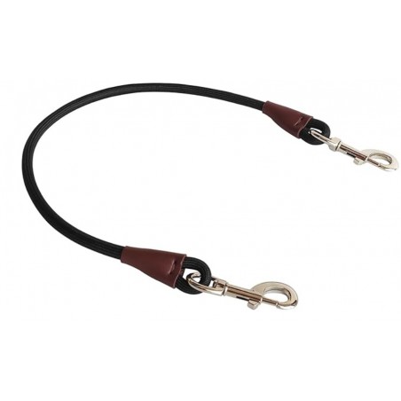 Training Tie Down- Short Dog Tether Indoor- Strong Rope Dog Car Leash Seat Belt