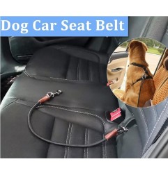 Training Tie Down- Short Dog Tether Indoor- Strong Rope Dog Car Leash Seat Belt