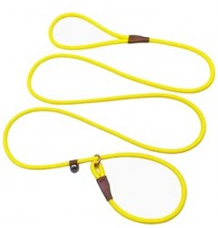 Slip Lead Control Leash for Dogs No Pull
