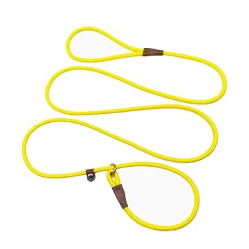 Slip Lead Control Leash for Dogs No Pull