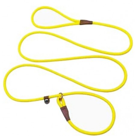 Slip Lead Control Leash for Dogs No Pull