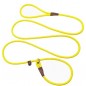 Slip Lead Control Leash for Dogs No Pull