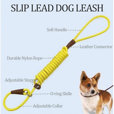 Slip Lead Control Leash for Dogs No Pull