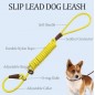 Slip Lead Control Leash for Dogs No Pull