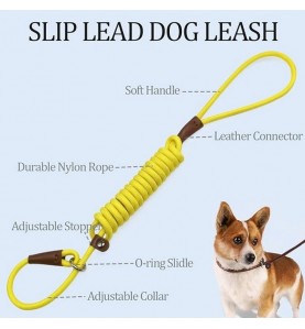 Slip Lead Control Leash for Dogs No Pull