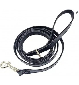 3/4" Wide Reflective Nylon Training Lead with Padded Handle
