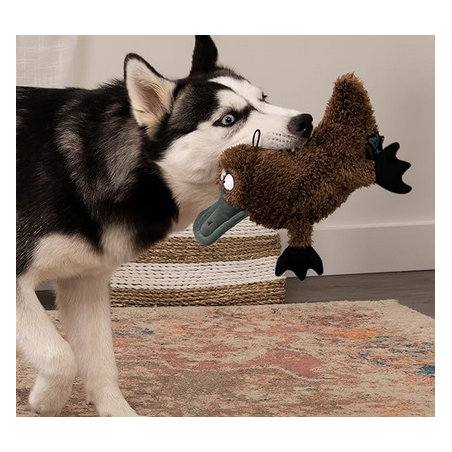Platypus Silent Squeak Plush Dog Toy