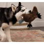 Platypus Silent Squeak Plush Dog Toy